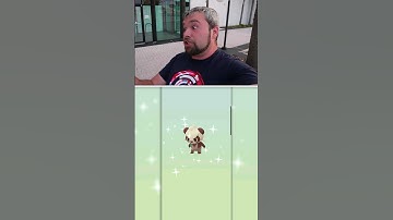 Double Shiny Hatch! We Finally hatched THIS Shiny! #shorts #pokemongo #pokemon