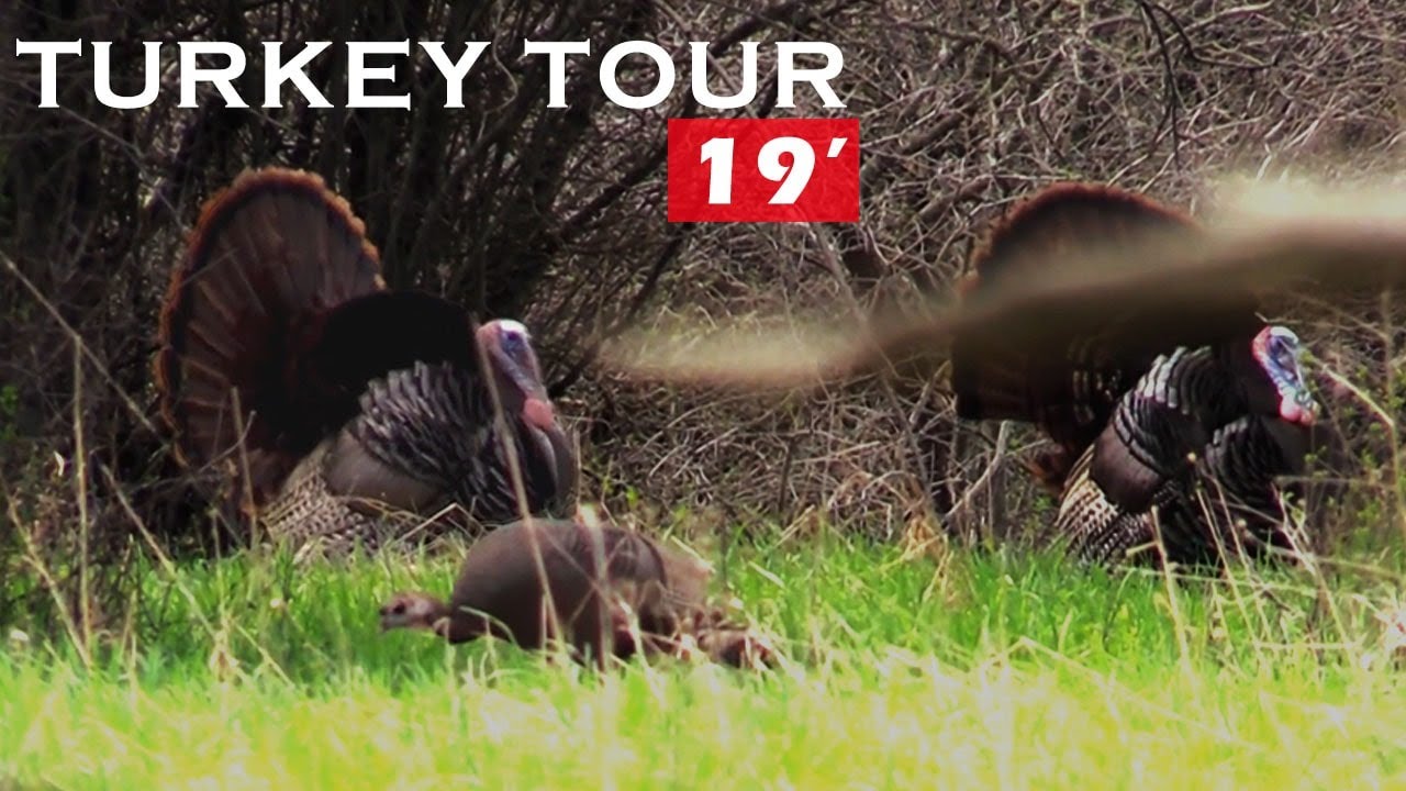 TURKEY HUNT RUN TO SETUP! New York YouTube