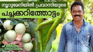 പടപ്പക്കര ചാർളിയുടെ കൃഷിവിശേഷങ്ങളുമായി | Vegetable Farming | Kollam | Haritham EP 481