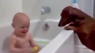 Best Funny Baby Funny Baby Videos Tv