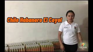 Como se hace un fardo de Chile Habanero El Coyol