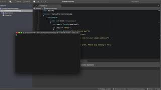 C# Tutorial: Control Flow (if/else/switch)
