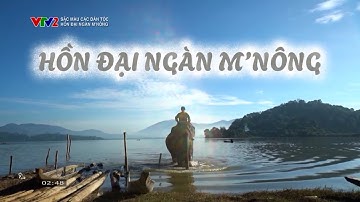 Hồn đại ngàn M
