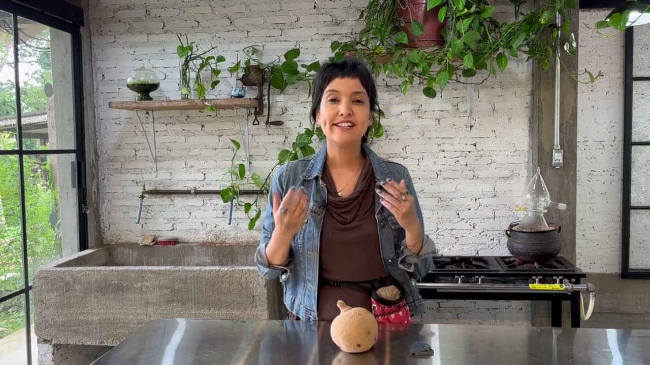 COMO EXTRAIR PIGMENTO DE PLANTA ÍNDIGO • abricó de macaco • Couroupita guianensis