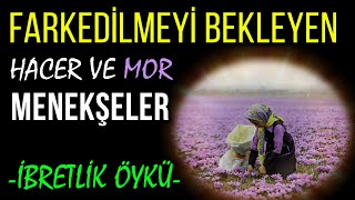 Farkedi̇lmeyi̇ Bekleyen Hacer Ve Mor Menekşeler...baysem Dini Hikayeler, Ibretlik Öykü