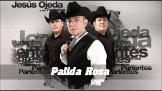 Palida Rosa - Jesus Ojeda y sus Parientes chords