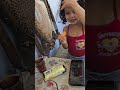 تيتا عملت شاى لكوكى Youtubeshorts كامري اكسبلور محركات Funny كوميديات Explore Shorts تيتا عملت شاى لكوكى Youtubeshorts كامري اكسبلور محركات Funny كوميديات Explore Shorts