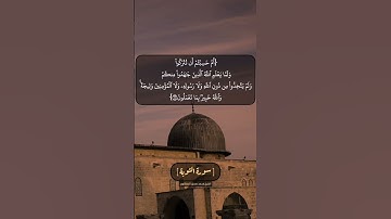 سورة التوبة الآية ١٦ و ١٧ بصوت الشيخ محمد صديق المنشاوي