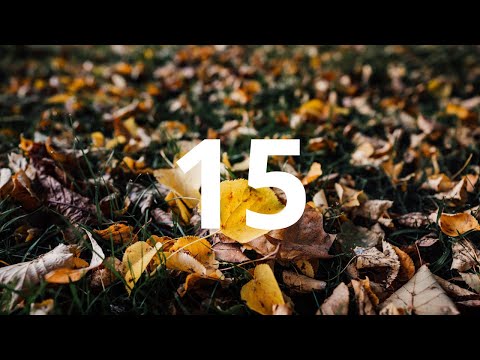 15 Second Countdown Timer With Alarm Sound At the End(Simple Beep)