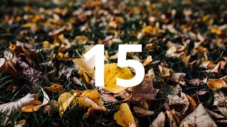 15 Second Countdown Timer With Alarm Sound At the End(Simple Beep)