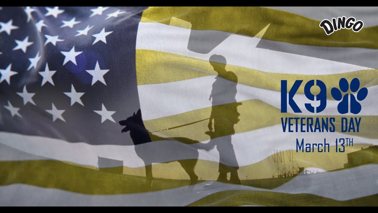 Celebrate K9 Veterans Day March 13th YouTube