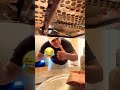 How do you use a microwave to pop popcorn duet funny viralvideo fypblowup mp3