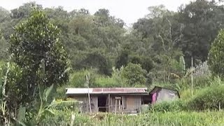 Download Lagu Hakka - Shang To An Khiau Pun Nyin Ka Khon Mo MP3