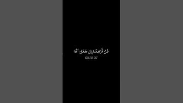 ياسر الدوسري 🤍#ياسر_الدوسري #quran #قران_كريم #قران #قرآن #تلاوة_خاشعة #تلاوات_نادرة #fyp