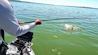 THIS GIANT cat FISH is trying to break the rod!!!