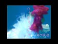 クジラ夜の街「ハナガサクラゲ」Music Video