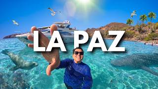 ¿Que hacer en LA PAZ? 🇲🇽 ¡Conoce los Mejores Lugares 📍y Actividades IMPERDIBLES! ✅