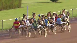 Vidéo de la course PMU PRIX RATTJASKA