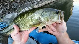 Epic Day Fishing the Legendary BONNIE Lake