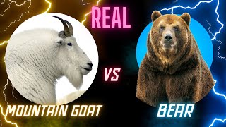 Ibex Vs Bear