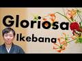 Gloriosa Ikebana: Mr. Rijo’s Favorite Flower