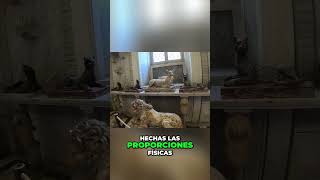 ¡Increíble Arte Digital! Ovejas y Rafa en Detalle #shorts