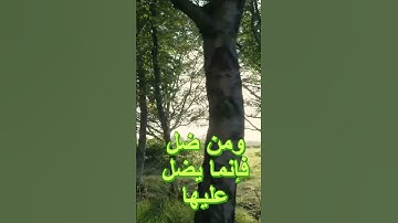 من اهتدى فإنما يهتدي لنفسه #المنشاوي #اكسبلور #القرآن_الكريم #تلاوة_خاشعة #ستوريات #واتساب #سناب