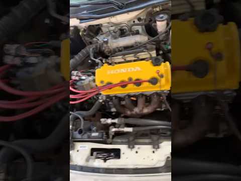what's the best dseries to build today? #honda #civic #d16 #dseries