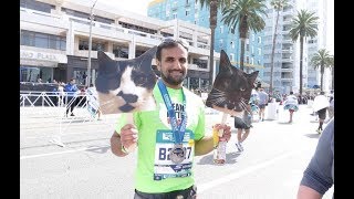 Team Kitten Rescue in the 2018 Los Angeles Marathon by KittenRescueLA 572 views 6 years ago 5 minutes, 19 seconds