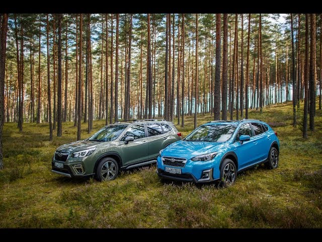 Subaru Xv I Forester 2020 Test Pl Pertyn Ględzi - Youtube