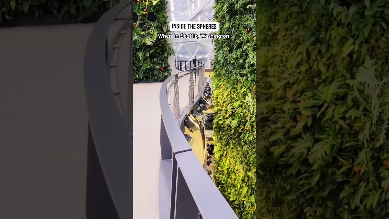 inside the Spheres #shortsvideo #shorts #usa