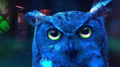 ما تيسر من سورة غافر  رمضان الصباغ  من ليلي القرءان في أمريكا