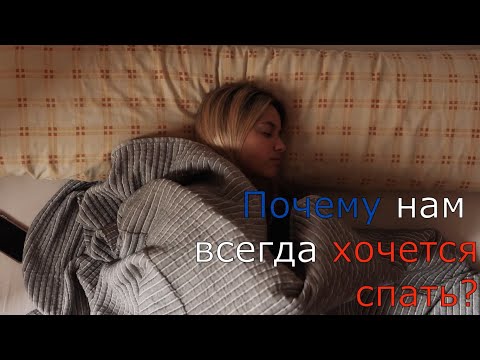 Почему нам всегда хочется спать? 8 причин вечной усталости. Как бороться с постоянной сонливости?