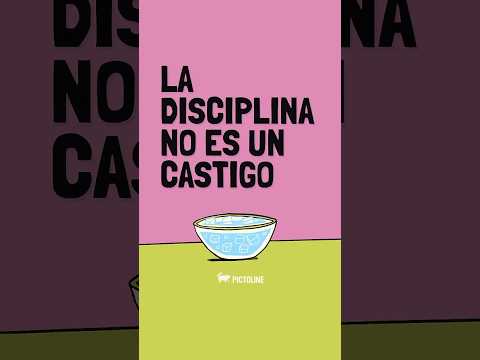 🤔 ¿La disciplina es un castigo? 🐾 Le preguntamos a Gato Aurelio 😼✨
