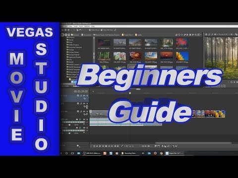 Beginners Guide for Vegas Movie Studio 14 Platinum (How to use)