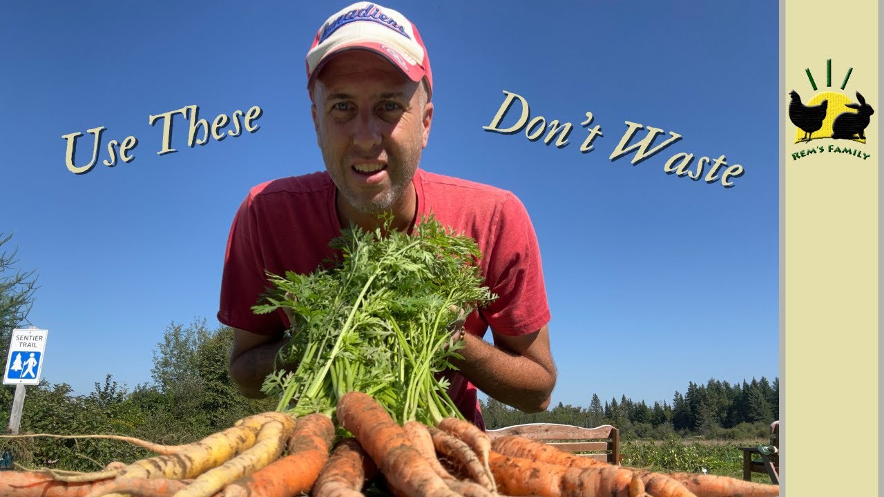 Why You Should Never Throw Away Your Carrot Greens | Benefits & Uses