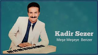 Kadir Sezer - Meşe Meşeye Benzer Resimi