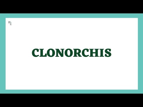 Clonorchis sinensis | Liver Fluke | Clonorchis Morphology, Life Cycle, Diagnosis & Treatment