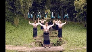 Video thumbnail of "Waylla: Mi Palomita (Video Oficial FULL HD 2018)"