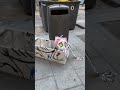 MADRID www. es – art video Madrid, streetart video, street art short