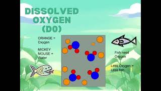"Understanding Water Quality Standards: What You Need to Know"
