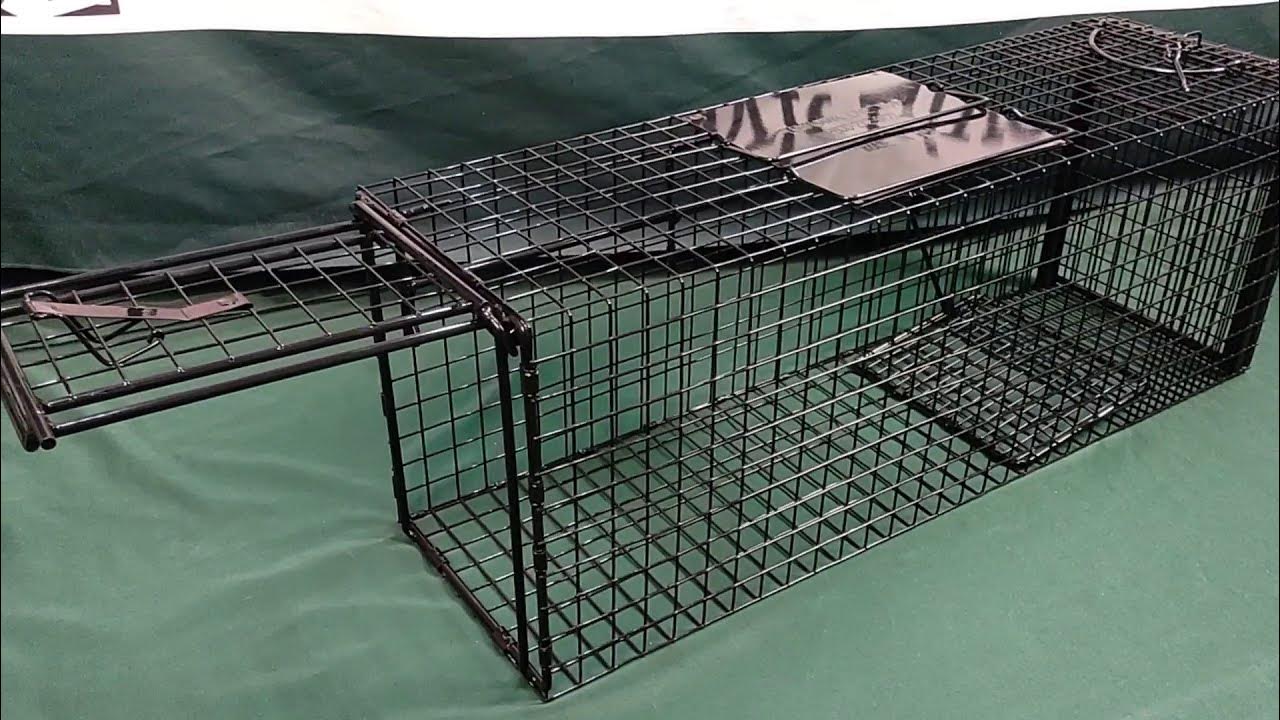 Feral Cat Traps, Small Animal Traps