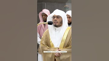 ويقول يا ليتني لم أشرك بربي أحدا ~ تلاوة تحبيرية خاشعة للشيخ ياسر الدوسري - صلاة الفجر 18 صفر 1446هـ
