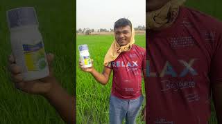 bayer campany vayego ଭାୟେଗୋ ବ୍ୟବହାର କରି କୃଷକ ସାଥୀ ବହୁତ ଖୁସି 😁#youtube #new #youtubeshorts #vayego #