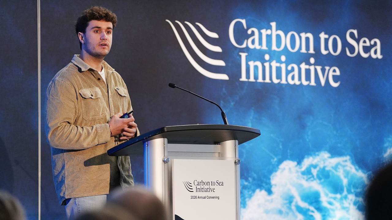 Mineral Dissolution Kinetics | Dr. Charly Moras