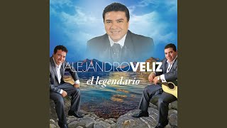 Video thumbnail of "Alejandro Veliz - Evidencias"