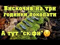 Вискочив на три годинки покопати, А тут "СКІФИ" Коп з Кощей Х45