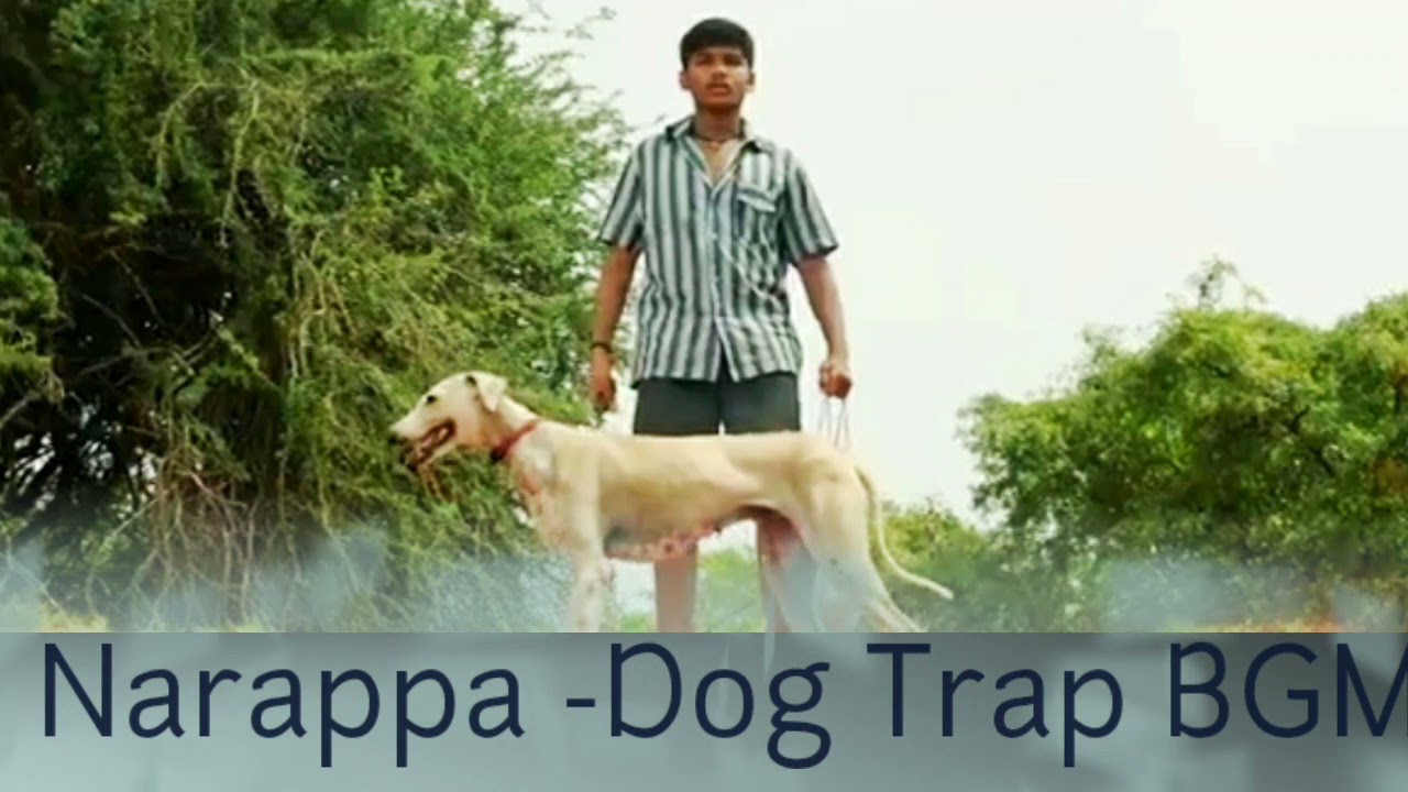 Narappa (Dog Trap BGM) | Narappa Background Score | BGM Jukebox