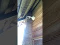Видеонаблюдение в Беларуси качественно #видеонаблюдение