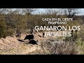 Caza de jabalí en el Oeste Pampeano! (Wild boar hunting on the west of La Pampa, Argentina)